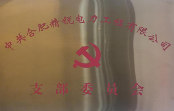 合肥精銳電力工程有限公司黨支部成立