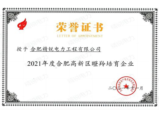 瞪羚培育企業